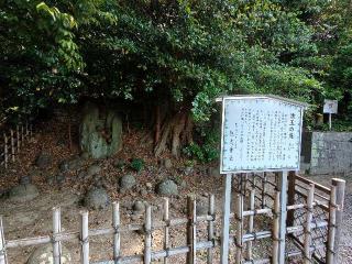 飽波神社の参拝記録(みみりんさん)