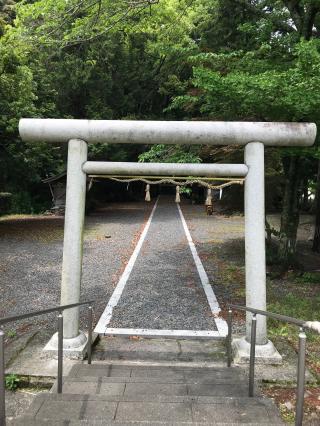 堀之内神社の参拝記録(cobaさん)