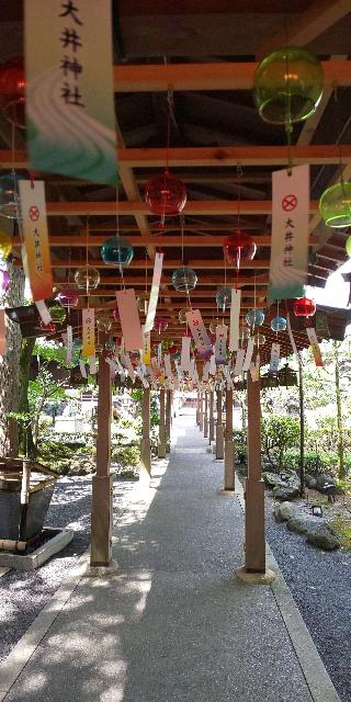 大井神社の参拝記録(パスカルさん)