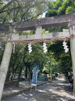 大井神社の参拝記録(⛩️🐉🐢まめ🐢🐉⛩️さん)