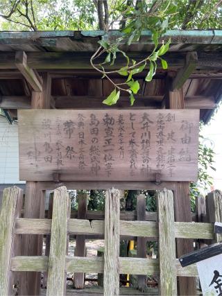 大井神社の参拝記録(⛩️🐉🐢まめ🐢🐉⛩️さん)