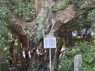 白羽神社の参拝記録(ピーナッツさん)