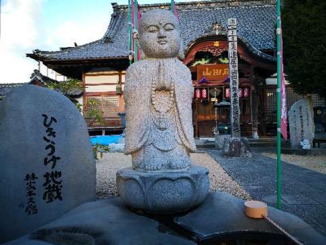 群馬県沼田市坊新田町1108 海王山 金剛院の写真6