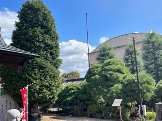 海王山 金剛院の参拝記録(えぬばんぬさん)