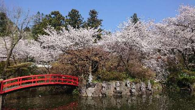 群馬県前橋市富士見町大字石井1227 石井山 三光院 珊瑚寺の写真2