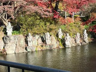 石井山 三光院 珊瑚寺の参拝記録(えぬばんぬさん)