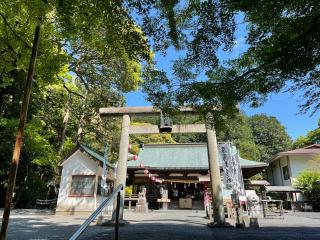 龍尾神社の参拝記録(じゃすてぃさん)