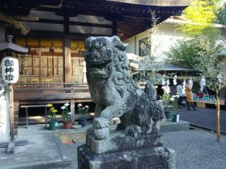 龍尾神社の参拝記録(飛成さん)