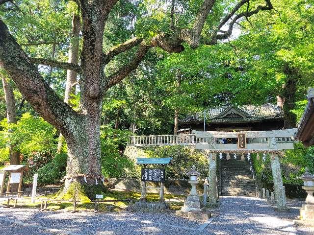 静岡県掛川市八坂642番地 事任八幡宮の写真11