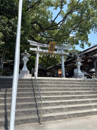 事任八幡宮の参拝記録(⛩️🎠🐢まめ🐢🎠⛩️さん)