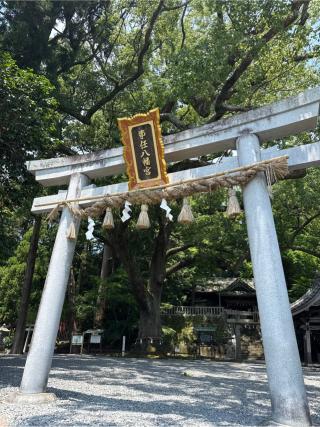 事任八幡宮の参拝記録(⛩️🎠🐢まめ🐢🎠⛩️さん)