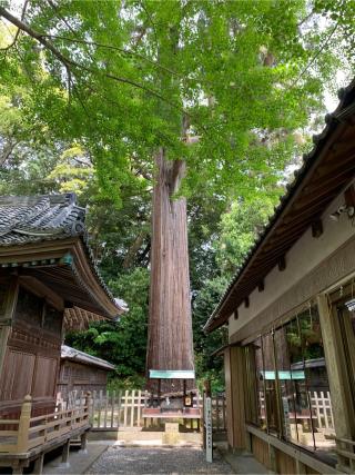 事任八幡宮の参拝記録(ぐでぇーさん)