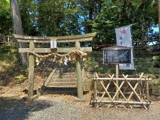 諏訪神社の参拝記録(銀玉鉄砲さん)