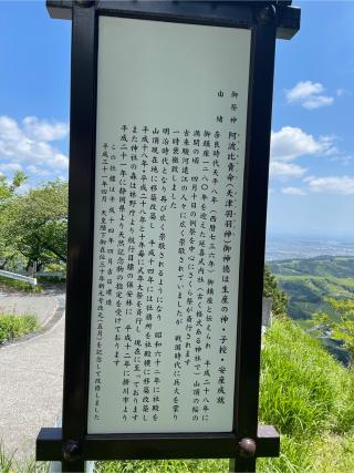 阿波々神社の参拝記録(じゃすてぃさん)