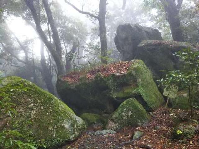 静岡県掛川市初馬5419 阿波々神社の写真3