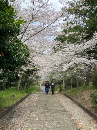 高松神社の参拝記録(🤗あんこさん)