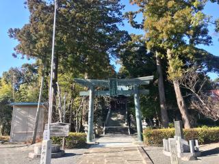 大頭龍神社の参拝記録(じゃすてぃさん)