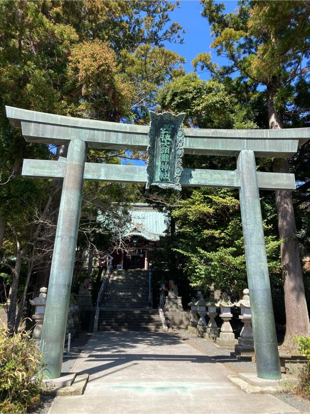 大頭龍神社の参拝記録10