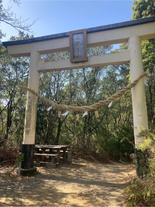 小笠神社の参拝記録(まさるさん)
