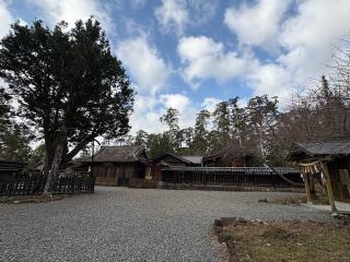 天宮神社の参拝記録(二代目無宿さん)