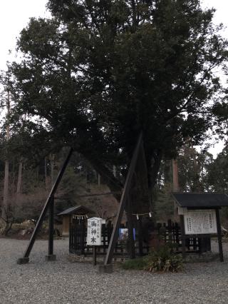 天宮神社の参拝記録(ぱにゃにゃんさん)