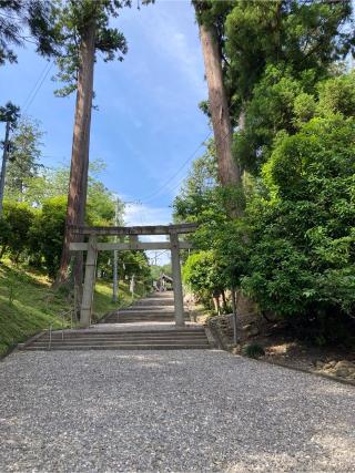 天宮神社の参拝記録(まさるさん)