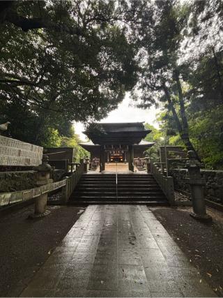 府八幡宮の参拝記録(ロシツキーさん)