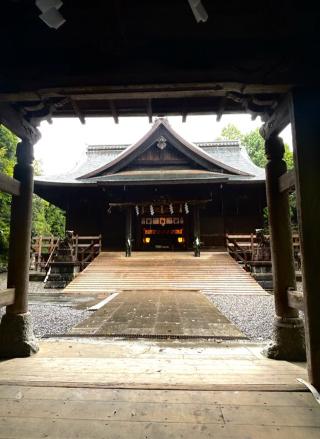 府八幡宮の参拝記録(ロシツキーさん)