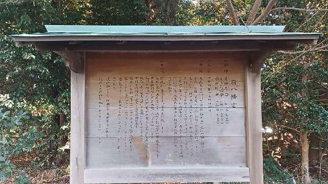静岡県磐田市中泉112-1 府八幡宮の写真6