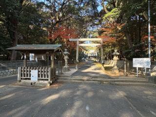 鎌田神明宮の参拝記録(二代目無宿さん)