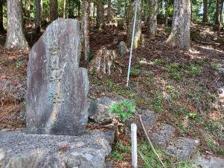 白山神社の参拝記録(銀玉鉄砲さん)