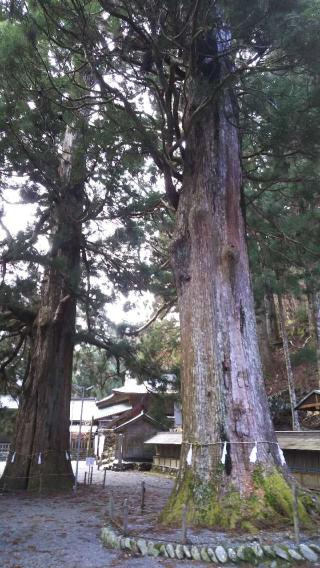 山住神社の参拝記録(Zさん)