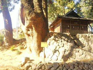 六所神社(浜北区堀谷)の参拝記録(みどりさん)
