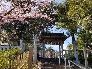 二宮神社の参拝記録(銀玉鉄砲さん)