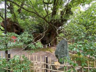 浜松八幡宮の参拝記録(ミキオさんさん)