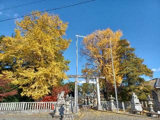 春日神社の参拝記録(銀玉鉄砲さん)