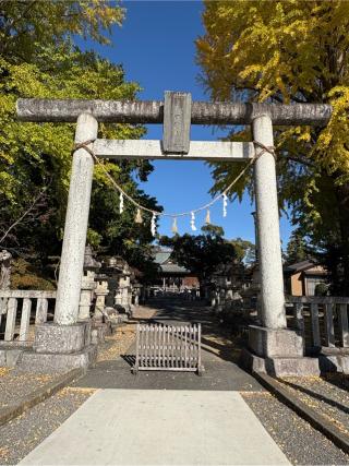 春日神社の参拝記録(二代目無宿さん)