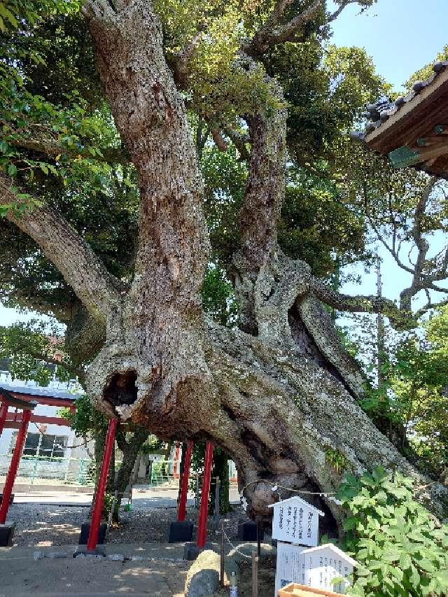 熊野神社（高塚熊野神社）の参拝記録8