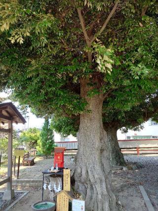 熊野神社（高塚熊野神社）の参拝記録(ズボラ妻さん)