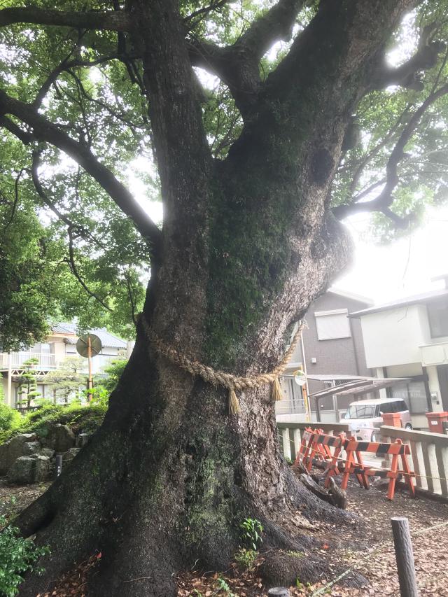 静岡県浜松市浜名区細江町気賀996 細江神社の写真2