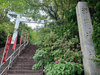 都筑神社の参拝記録(銀玉鉄砲さん)