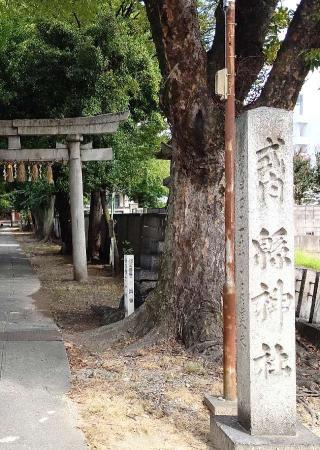 綿神社の参拝記録(ひろちゃんさん)