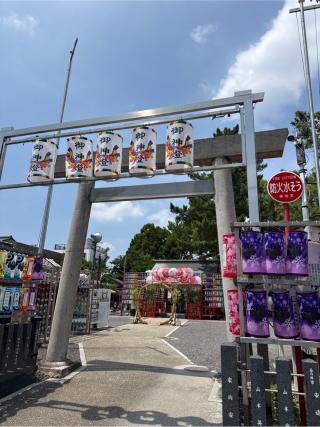 別小江神社の参拝記録(⛩️🎠🐢まめ🐢🎠⛩️さん)