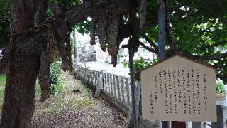 多奈波太神社の参拝記録(のぶちゃんさん)