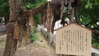 多奈波太神社の参拝記録(のぶちゃんさん)