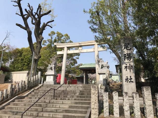 愛知県名古屋市昭和区御器所2-9-19 尾陽神社の写真4