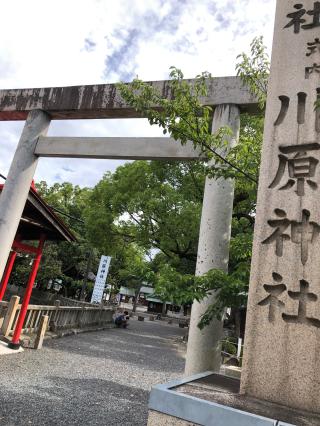 川原神社の参拝記録(🐰さん)