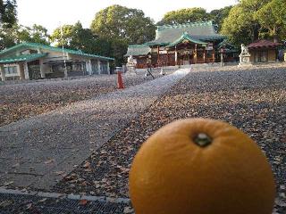 川原神社の参拝記録(yukiさん)