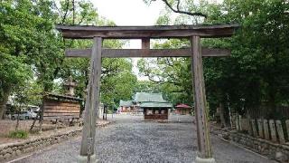 川原神社の参拝記録(のぶちゃんさん)