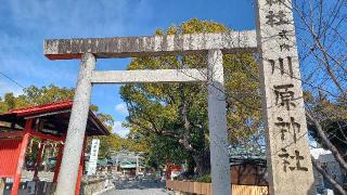 川原神社の参拝記録(銀玉鉄砲さん)